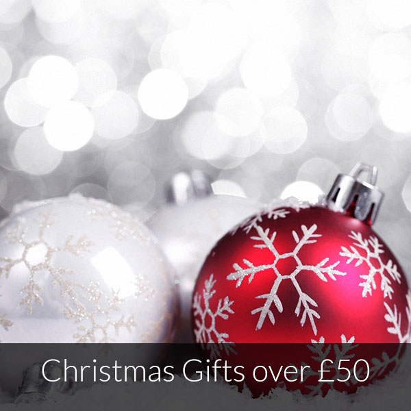 christmas 2015 gifts over 0550
